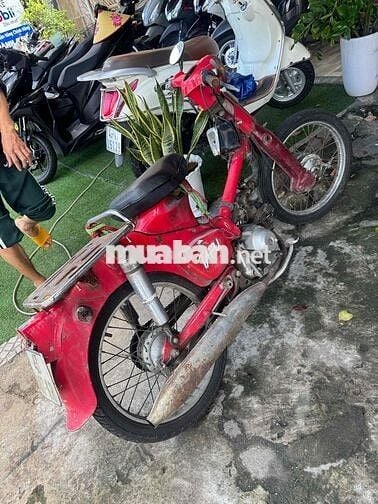 cub 50 giấy đầy đủ