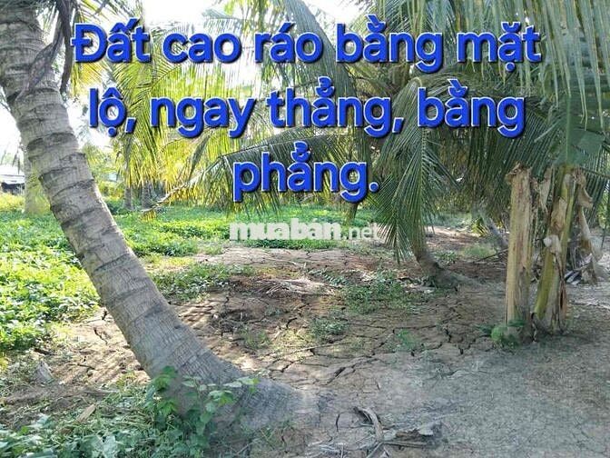 440m2 đất đường xe 16 chổ chính chủ 2% HH a chị giới thiệu