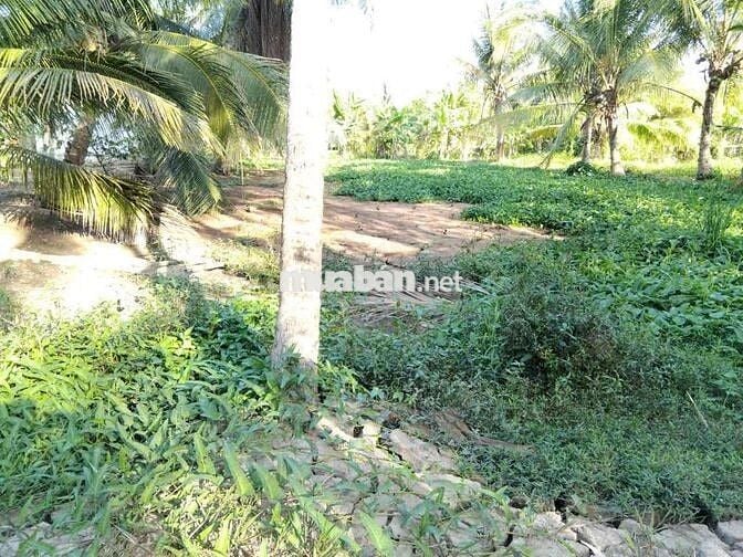 440m2 đất đường xe 16 chổ chính chủ 2% HH a chị giới thiệu