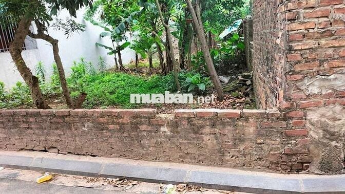 Bán 72m Hải bối đường thông ô tô đỗ cửa trải nhựa
