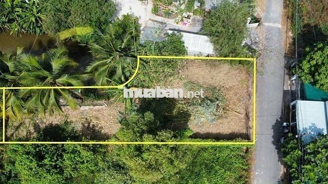 241m2 thổ cư đường nhựa 5m sát thị trấn Cần Giuộc