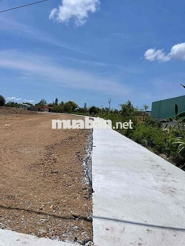 Bán đất 125m2 mặt tiền QL50 kế bên cầu Mỹ Lợi xã Tân Trung, Tiền Giang