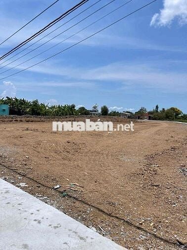 Bán đất 125m2 mặt tiền QL50 kế bên cầu Mỹ Lợi xã Tân Trung, Tiền Giang