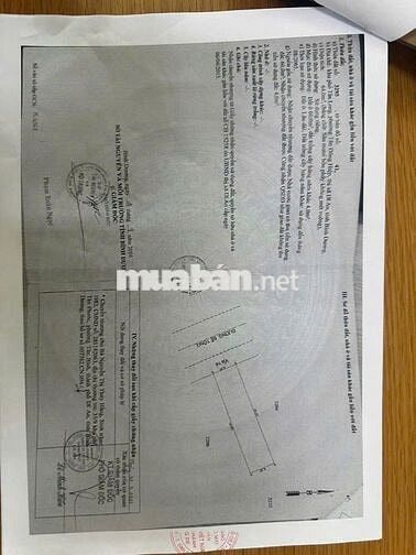 Bán nhà lầu trệt Tân Đông Hiệp, Dĩ An, Bình Dương (3T750)