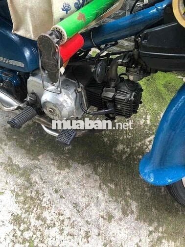 Xe Honda Cub 81