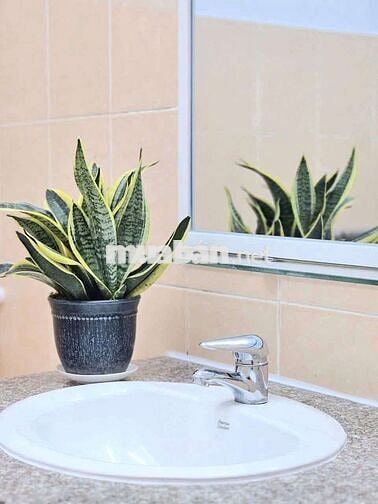 Cho thuê vila 1pn full nội thất gần ủy ban Phú Mỹ