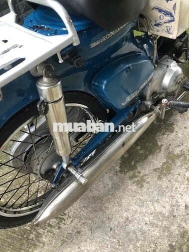 Xe Honda Cub 81