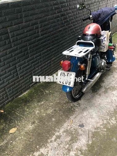 Xe Honda Cub 81