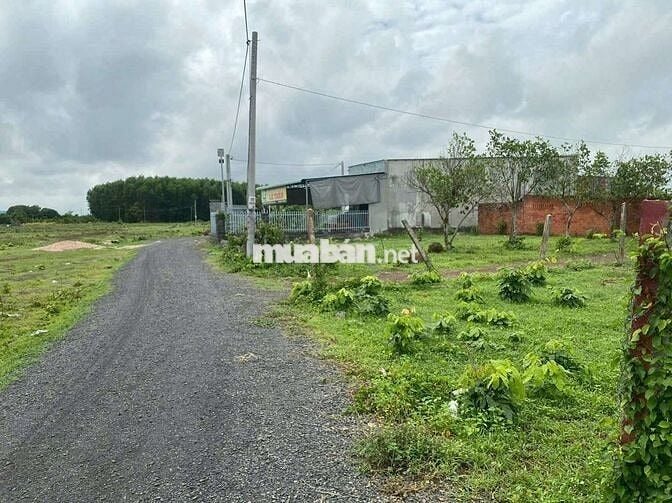 Cần bán lô góc 2 mặt tiền Đất Thị Trấn Đất Đỏ, cạnh KCN Đất Đỏ 
: