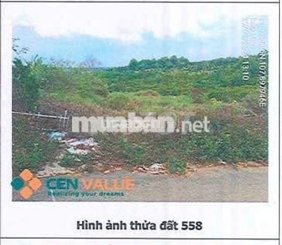 Bán ĐGTS đất tại TĐ số: 558, xã Bảo Lâm 2, tỉnh Lâm Đồng