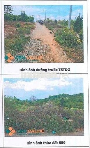 Bán ĐGTS đất tại TĐ số: 559, xã Bảo Lâm 2, tỉnh Lâm Đồng