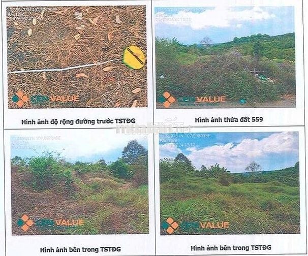 Bán ĐGTS đất tại TĐ số: 559, xã Bảo Lâm 2, tỉnh Lâm Đồng