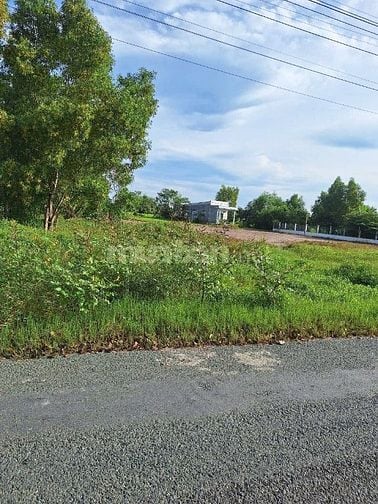 Bán đất MT đường liên xã Tân Lân-Mỹ Lệ,Xã Mỹ Lệ, Cần Đước,Tỉnh Long An