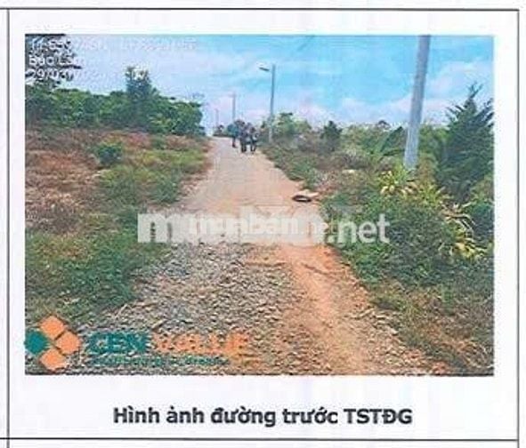 Bán ĐGTS đất tại TĐ số: 557, xã Bảo Lâm 2, tỉnh Lâm Đồng