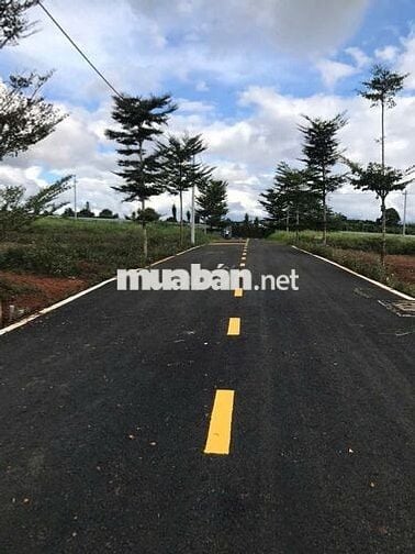 Chính chủ cắt lỗ thêm 200tr lô đất Lộc An trong khu dân cư hiện hữu