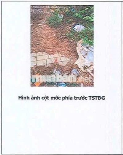 Bán ĐGTS đất tại TĐ số: 557, xã Bảo Lâm 2, tỉnh Lâm Đồng