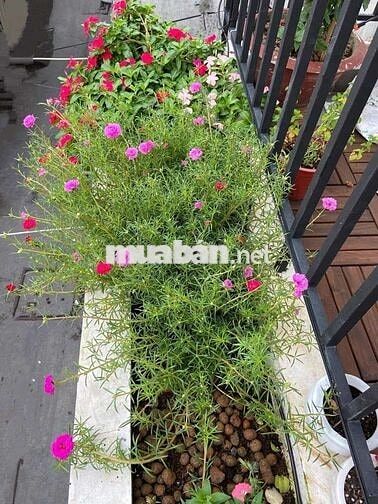 NHÀ ĐẸP QUẬN 8 HẺM ÂU DƯƠNG LÂN P.3 3 TẦNG FULL NỘI THẤT NHỈNH 6 TỶ