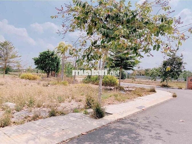 Bán gấp lô đất An Nhiên Garden 80m2 Giá 800 triệu Sổ sẵn sang tên ngay