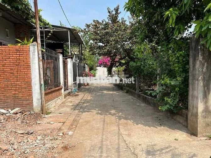 ĐẤT PHÚ CƯỜNG – GẦN PHỐ ĐI BỘ BẠCH ĐẰNG  1 TỶ 650
