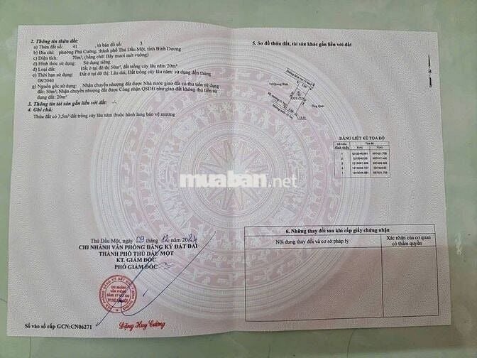 ĐẤT PHÚ CƯỜNG – GẦN PHỐ ĐI BỘ BẠCH ĐẰNG  1 TỶ 650