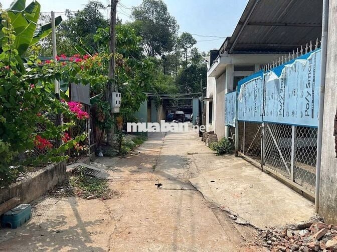 ĐẤT PHÚ CƯỜNG – GẦN PHỐ ĐI BỘ BẠCH ĐẰNG  1 TỶ 650