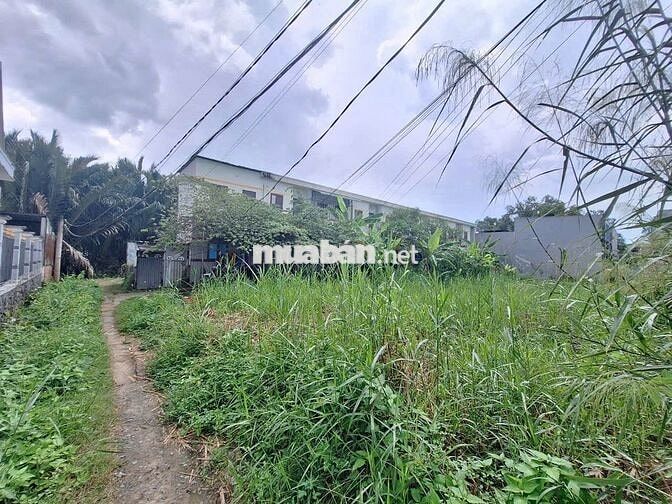 300M2 THỔ- MẶT TIỀN HẺM BÁN GIÁ ĐẦU TƯ THÍCH HỢP XÂY NHÀ VƯỜN-BIỆT THỰ