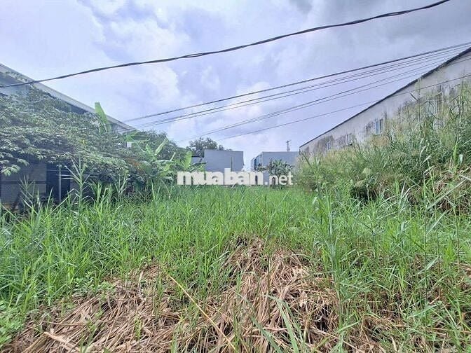 300M2 THỔ- MẶT TIỀN HẺM BÁN GIÁ ĐẦU TƯ THÍCH HỢP XÂY NHÀ VƯỜN-BIỆT THỰ