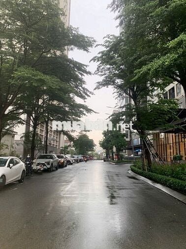 CHO THUÊ VILLA SAIGON PEARL –ĐƯỜNG D1, ĐỐI DIỆN SUNWAH PEARL. Giá 95tr