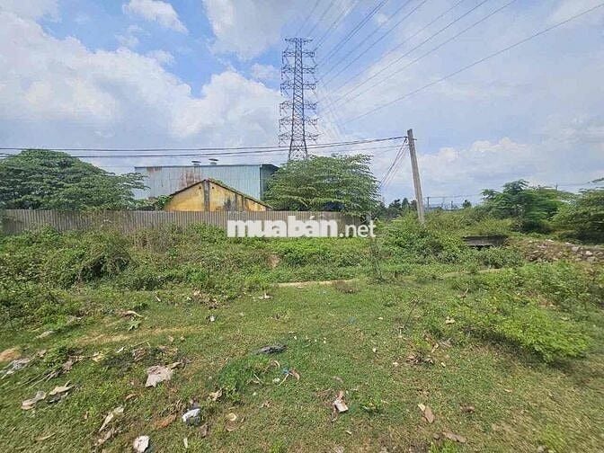 Đất 938m2 ngang 10 gần chợ Tân Bình, Tp Dĩ An
