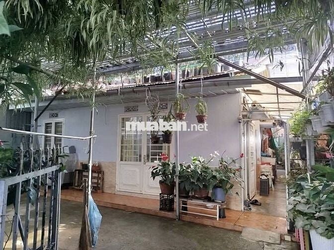 Nhà rộng kiên cố  trung tâm gần chợ Đà Lạt - 158m - 5,5 ty - hẻm ô tô