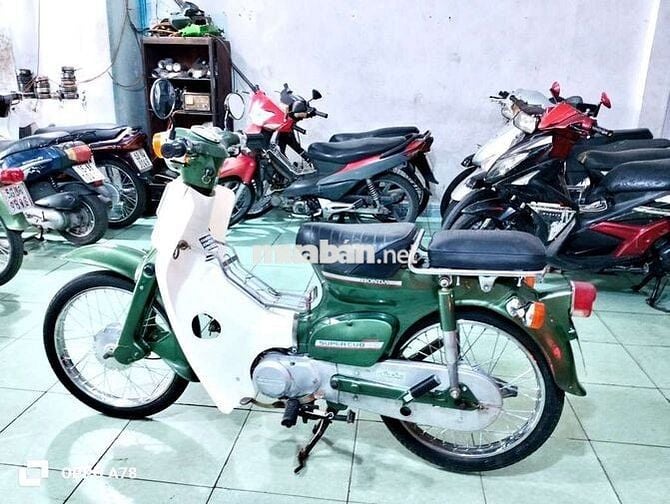♥️ Honda Cub nhật 50cc hssv ko cần bằng lái ♥️