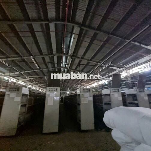 Cho thuê kho xưởng 850m² khuôn viên 3000m² đường Lê Đức Anh , Bình Tân