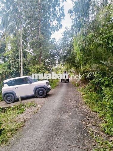 NÊN CACH KCN HÒA PHÚ- ĐẠI HỌC CUỬ LONG 1KM