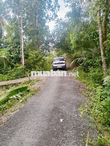 NÊN CACH KCN HÒA PHÚ- ĐẠI HỌC CUỬ LONG 1KM