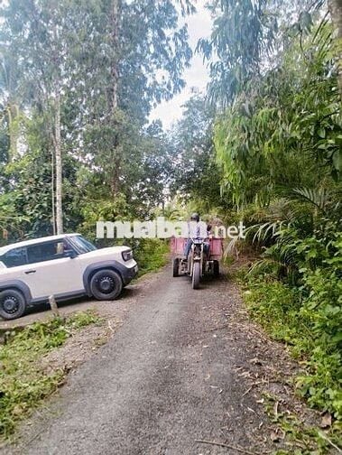 NÊN CACH KCN HÒA PHÚ- ĐẠI HỌC CUỬ LONG 1KM