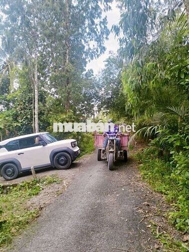 NÊN CACH KCN HÒA PHÚ- ĐẠI HỌC CUỬ LONG 1KM