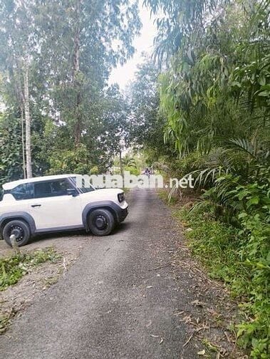 NÊN CACH KCN HÒA PHÚ- ĐẠI HỌC CUỬ LONG 1KM