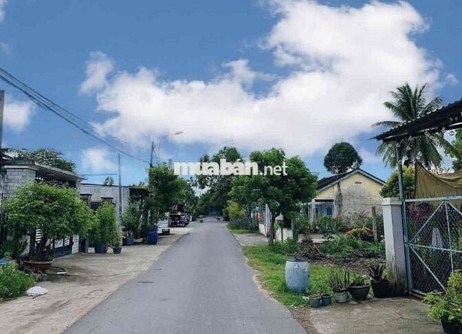 BÁN GẤP LÔ ĐẤT 277m2 THỔ CƯ NGANG 7m ĐƯỜNG NG PHONG SẮ  , SHR, NỞ HÂU