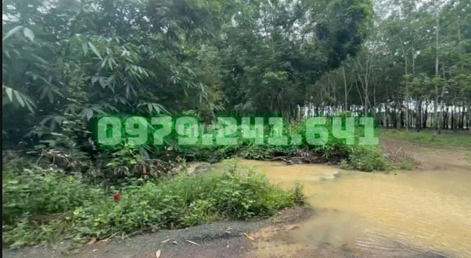 RẼ NHẤT ĐỒNG NAI VƯỜN VIEW SUỐI 1889m2 GIÁ 470 TRIỆU