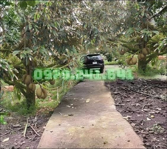 RẼ NHẤT ĐỒNG NAI VƯỜN VIEW SUỐI 1889m2 GIÁ 470 TRIỆU