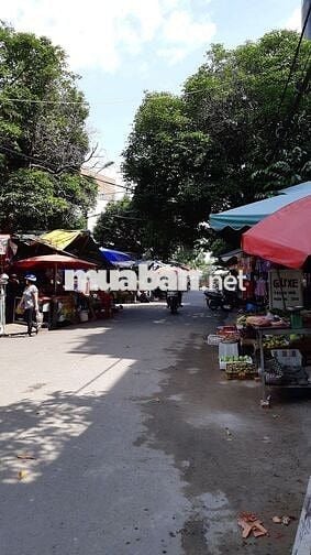 cho thuê nhà nguyên căn mặt tiền chợ Tam Bình diện tích rộng