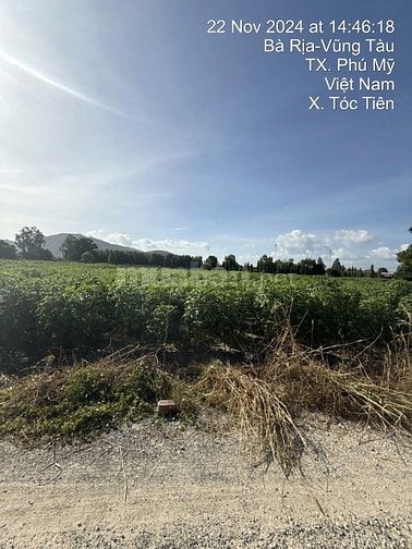 Công ty Đấu giá hợp danh Lam Sơn Sài Gòn THÔNG BÁO ĐẤU GIÁ TÀI SẢN