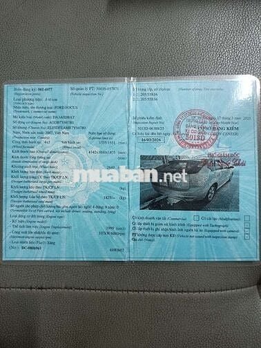 Ford Focus 1.8 AT 2009 Màu Vàng, 2 Chỗ