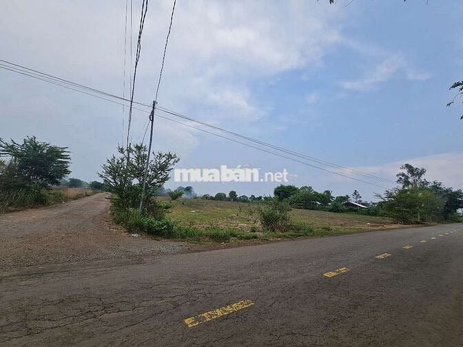 Đất mẫu mặt tiền đường nhựa Xuân Tây - Xuân Phú, sát bên ĐT.773