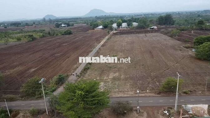 Đất mẫu mặt tiền đường nhựa Xuân Tây - Xuân Phú, sát bên ĐT.773