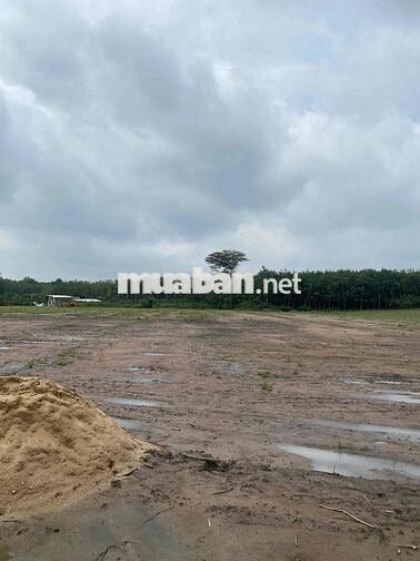 500m2 đường liên huyện đối diện UBND xã Nha Bích - Đồng Nai mới