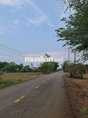 Đất mẫu mặt tiền đường nhựa Xuân Tây - Xuân Phú, sát bên ĐT.773