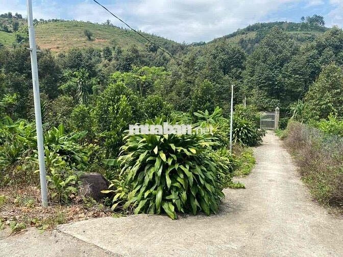 Cần bán gấp lô đất Madagui cách ql20 200m