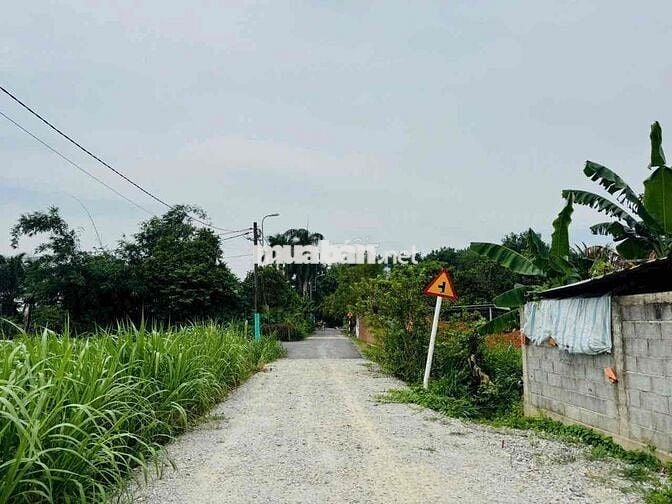 CHẤP NHẬN LỖ ĐỂ BÁN MIẾNG ĐẤT 260m2 CỦ CHI - BAO XÂY DỰNG GIÁ 600TRIỆU