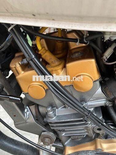 Hornet 250 chính chủ